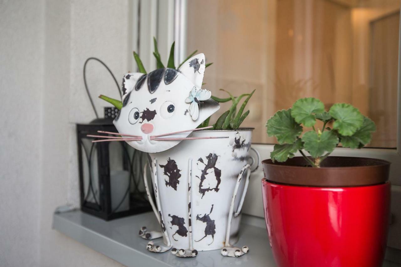 Cozy & Modern Studio With Balcony Zagreb Ngoại thất bức ảnh